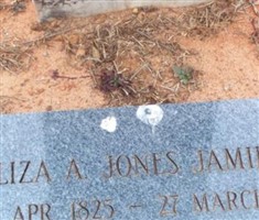 Eliza A. Jamieson Eliza A. Jamieson