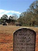 Eliza A. Jamieson Eliza A. Jamieson