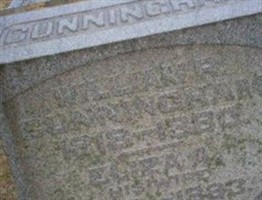 Eliza A. Waddle Cunningham
