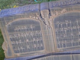 Eliza Ann Farlinger Fitzpatrick