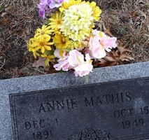 Eliza Ann "Annie" Mills Mathis Eliza Ann "Annie" Mills Mathis