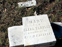 Eliza Bulkley Tarpley Eliza Bulkley Tarpley