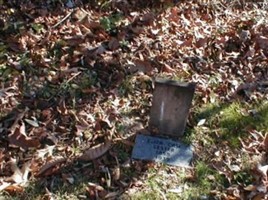 Eliza Case Lester Eliza Case Lester