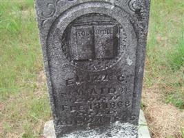 Eliza Catherine Waid