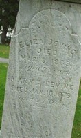 Eliza Devine Eliza Devine