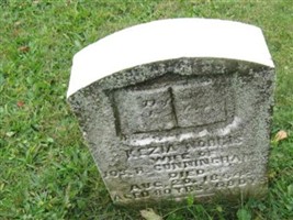 Eliza Dobbs Cunningham