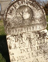 Eliza Ellen Stout