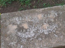 Eliza Francis Comer Fulks