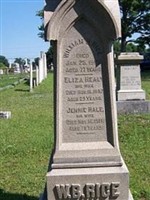 Eliza Healy Rice