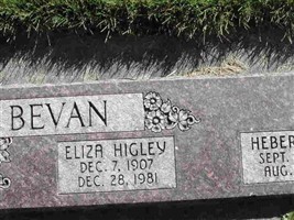 Eliza Higley Bevan