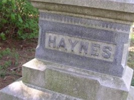 Eliza J Haynes Eliza J Haynes