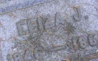 Eliza J Haynes Eliza J Haynes