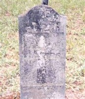 Eliza J Vickers Eliza J Vickers