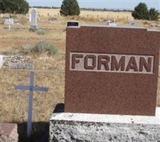 Eliza Jane Abbott Forman