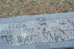 Eliza Jane Boger Wagenman
