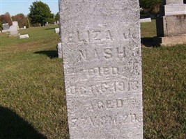Eliza Jane Wasson Nash