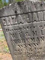 Eliza Jane Workman Eliza Jane Workman
