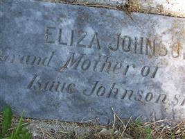 Eliza Johnson