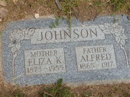 Eliza K Johanson Johnson