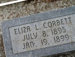 Eliza Lovina Corbett