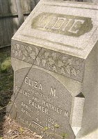 Eliza M. "Lidie" Palmer Eliza M. "Lidie" Palmer