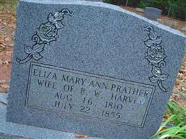 Eliza Mary Ann Prather Harvey