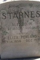 Eliza Penland Starnes