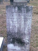 Eliza Terwilliger