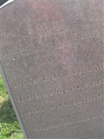 Eliza Van Fleet Schomp Eliza Van Fleet Schomp