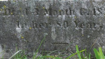 Eliza Walton Ely