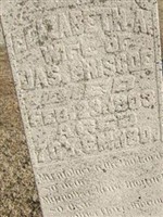 Elizabeth A Briscoe Elizabeth A Briscoe