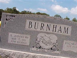 Elizabeth A Burnham Elizabeth A Burnham