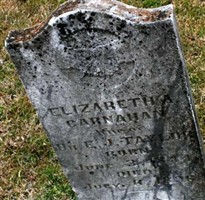 Elizabeth A. Carnahan Taylor