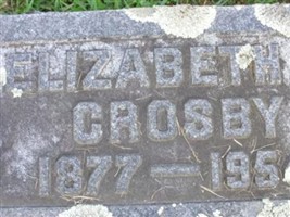 Elizabeth A. Crosby