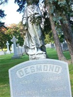 Elizabeth A Gallagher Desmond