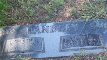 Elizabeth A. Handley