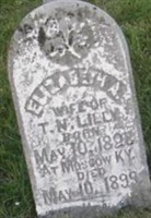 Elizabeth A. Lilly