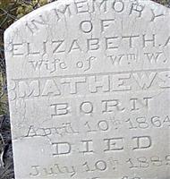 Elizabeth A Mathews