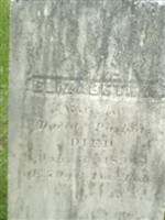 Elizabeth A Pushor