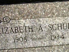 Elizabeth A Schultz