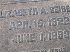 Elizabeth A Seibert