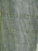 Elizabeth A Steinmetz