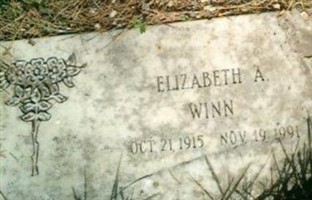 Elizabeth A Winn Elizabeth A Winn