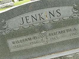 Elizabeth Ann Beck Jenkins