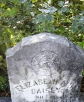 Elizabeth Ann Daisey Jester