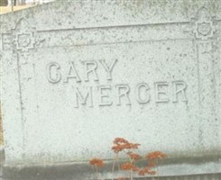 Elizabeth Ann "Eliza" Cary Elizabeth Ann "Eliza" Cary