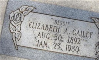Elizabeth Ann Gailey