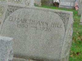 Elizabeth Ann Hill