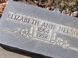 Elizabeth Ann Nelson