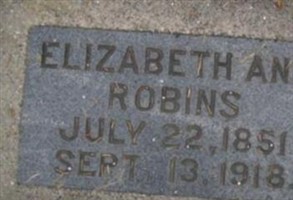 Elizabeth Ann Robins Elizabeth Ann Robins